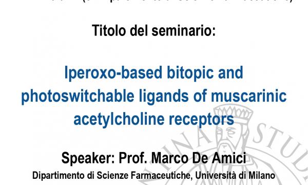 Seminario del Professor Marco De Amici .